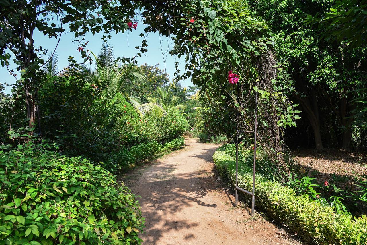 Baaz Jungle Resort Khawāsa Exterior foto